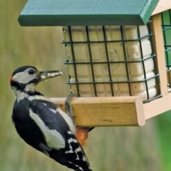 Pasadena Peanut Cake Square Feeder -Bird Supply Store 35054 2