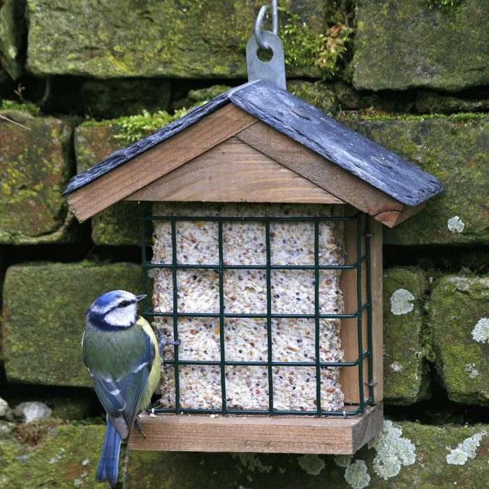 Ohio Slate Peanut Cake Square Bird Feeder Ohio Slate Peanut Cake Square Bird Feeder -Bird Supply Store 35079