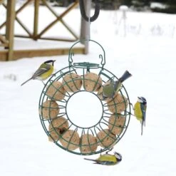 Fat Ball Feeding Ring -Bird Supply Store 35092 2 2 1