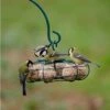 Star Fat Ball Bird Feeder