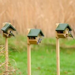 Pole Mounted Dublin Peanut Butter Feeder 3 Pole Mounted Dublin Peanut Butter Feeder -Bird Supply Store 35103 35104 2 2 2