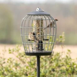 Bird Supply Store -Bird Supply Store 35109 3