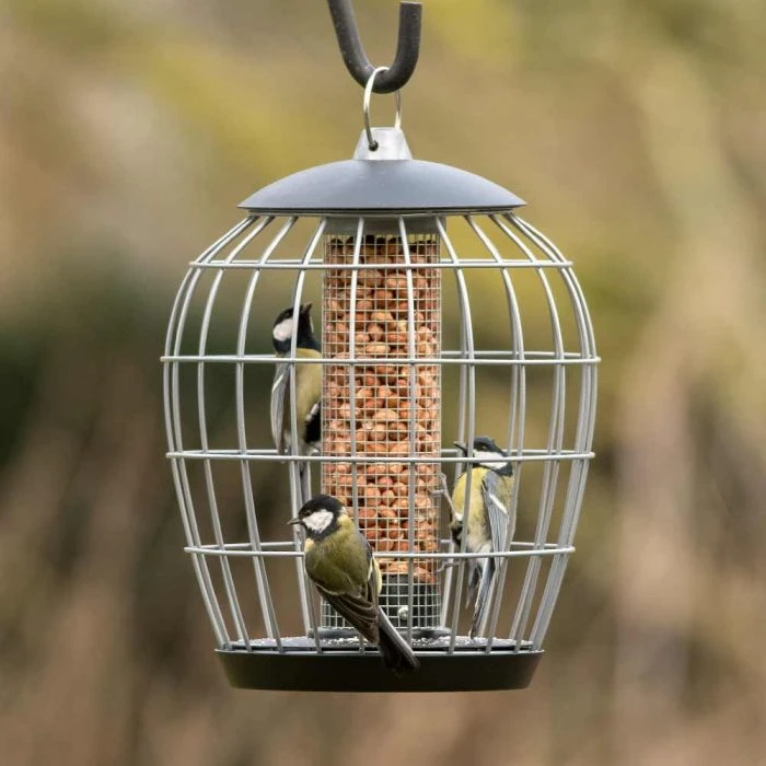 National Trust Aura Peanut Guardian Feeder National Trust Aura Peanut Guardian Feeder -Bird Supply Store 35122 03