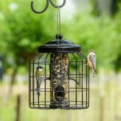 Brussels Bird Feeder Guardians - Bundle Of 3 2 Brussels Bird Feeder Guardians - Bundle Of 3 -Bird Supply Store 351580119 qpa dsc8692
