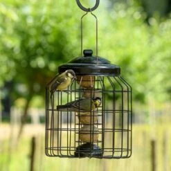 Brussels Fat Ball Bird Feeder Guardian Pack -Bird Supply Store 351590119 03