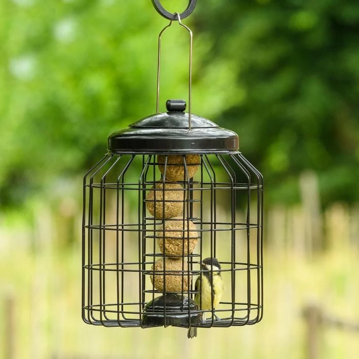 Brussels Bird Feeder Guardians - Bundle of 3 Brussels Bird Feeder Guardians - Bundle Of 3 -Bird Supply Store 351590119 04 1