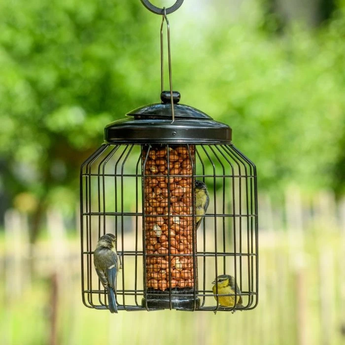 Brussels Peanut Bird Feeder Guardian Pack Brussels Peanut Bird Feeder Guardian Pack -Bird Supply Store 351600119 03