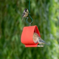 Malibu Peanut Butter Jar Holder Bird Feeder -Bird Supply Store 35176 qm 1480 1