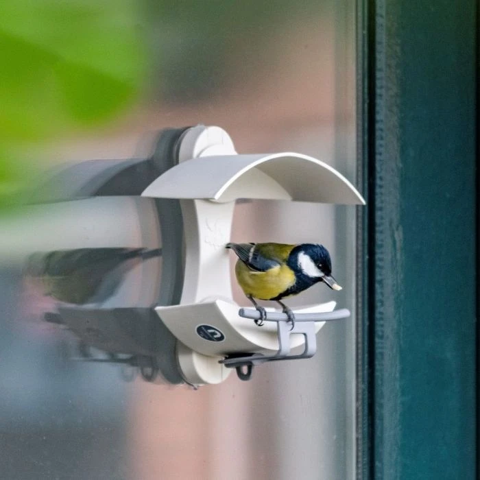 National Trust Acorn Window Feeder National Trust Acorn Window Feeder -Bird Supply Store 35179 f gelmatare f nster acorn