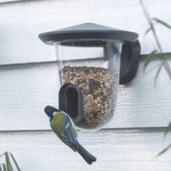 SingingFriend FeedR Bird Seed Feeder -Bird Supply Store 37003 06