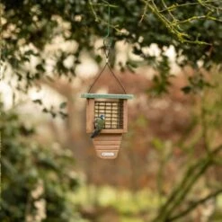 National Trust Peanut Cake Squares - Bundle Of 3 -Bird Supply Store 37030