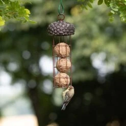 Acorn Fat Ball Bird Feeder -Bird Supply Store 675440119 qm 7455