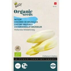 Buzzy® Organic Chicory - Brus Hol Middelv