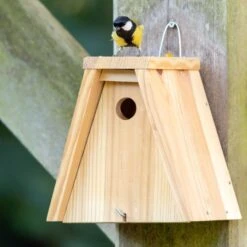 Build-Your-Own Nala 28mm Nest Box -Bird Supply Store 90122 06