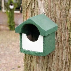 National Trust Green WoodStone Open Nest Box 2 National Trust Green WoodStone Open Nest Box -Bird Supply Store 905960119 cjw woodstone small open green clip 2012 1