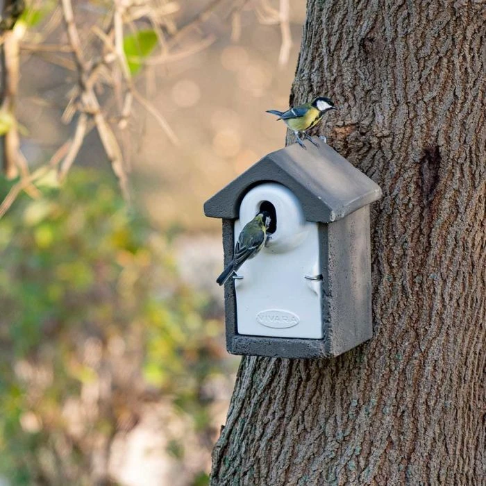 WoodStone® Seville 32mm Oval Hole Nest Box (Grey) WoodStone® Seville 32mm Oval Hole Nest Box (Grey) -Bird Supply Store 907020119 5 1