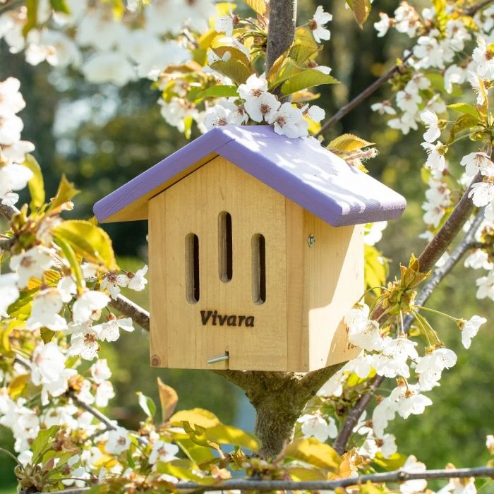 Ithaca Limited Edition Butterfly House Ithaca Limited Edition Butterfly House -Bird Supply Store 907530119 trmo butterfly box ithaca qm 3482