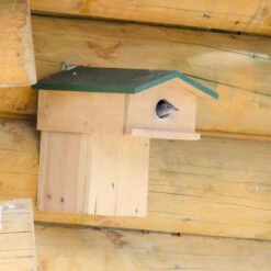 Starling Nest Box With Balcony