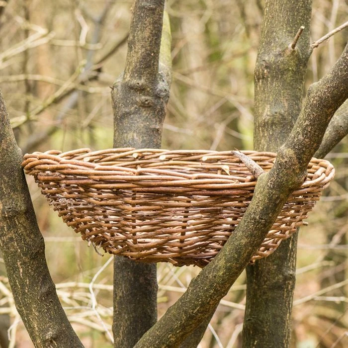 Nesting Basket For Long Eared Owl Nesting Basket For Long Eared Owl -Bird Supply Store 90815 uk ra 01
