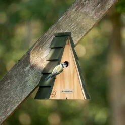 National Trust Aspen Larch 28mm Nest Box