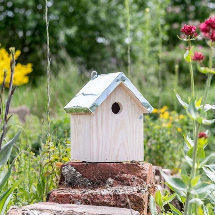 Helsinki 28mm Nest Box Helsinki 28mm Nest Box -Bird Supply Store 909760119 jvg 7178 1