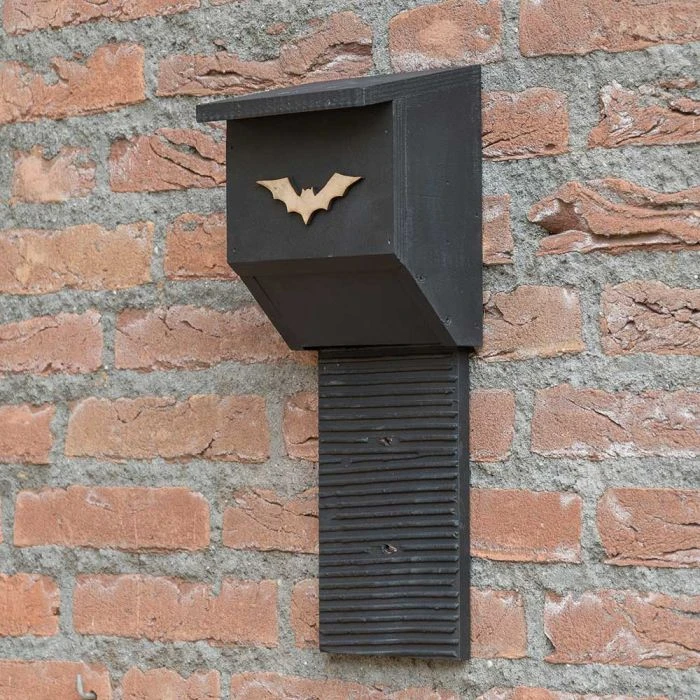 Coucy Wooden Bat Box Coucy Wooden Bat Box -Bird Supply Store 91444 01 1