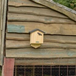 National Trust Arundel Bat Box -Bird Supply Store 914770421 3