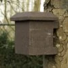 Hazel Dormouse Nest Box