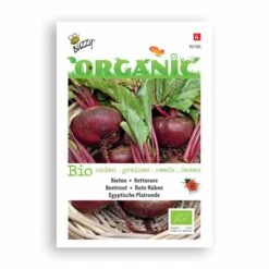 Buzzy® Organic Beetroot Turnip - Egyptian -Bird Supply Store 92100 2