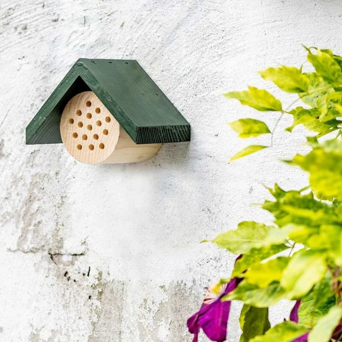 Bee Hotel Pantelleria Bee Hotel Pantelleria -Bird Supply Store 92119 jvg 9072