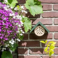 Bee Hotel Pantelleria 2 Bee Hotel Pantelleria -Bird Supply Store 92119 jvg 9084