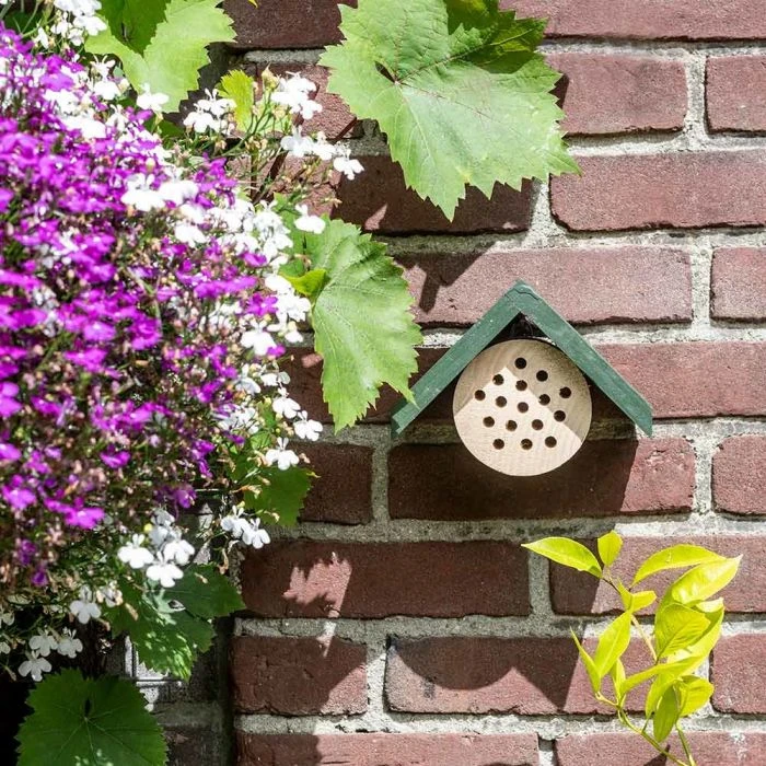 Bee Hotel Pantelleria Bee Hotel Pantelleria -Bird Supply Store 92119 jvg 9084
