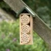 Bee Hotel Ustica