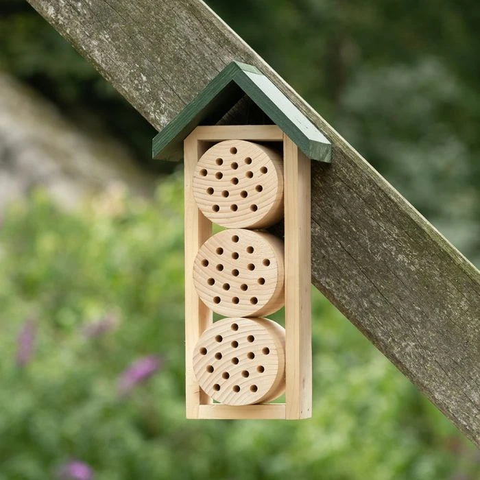 Bee Hotel Ustica Bee Hotel Ustica -Bird Supply Store 92120 5