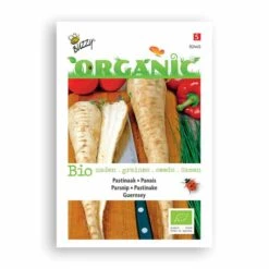Buzzy® Organic Parsnip - Geurnsey (BIO)
