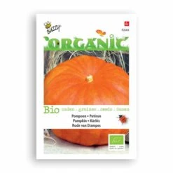 Buzzy® Organic Pumpkin - Rouge Vif D'Etamp