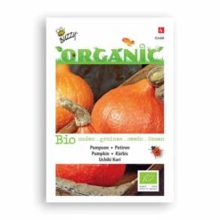 Buzzy® Organic Pumpkin - Uchiki Kuri (BIO)