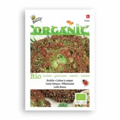 Buzzy® Organic Curly Lettuce - Lollo Rossa -Bird Supply Store 92669 2