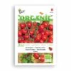 Buzzy® Organic Cherry Tomato - Cerise BIO
