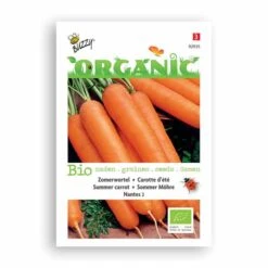 Buzzy® Organic Summer Carrot - Nantes 2BIO -Bird Supply Store 92935 2