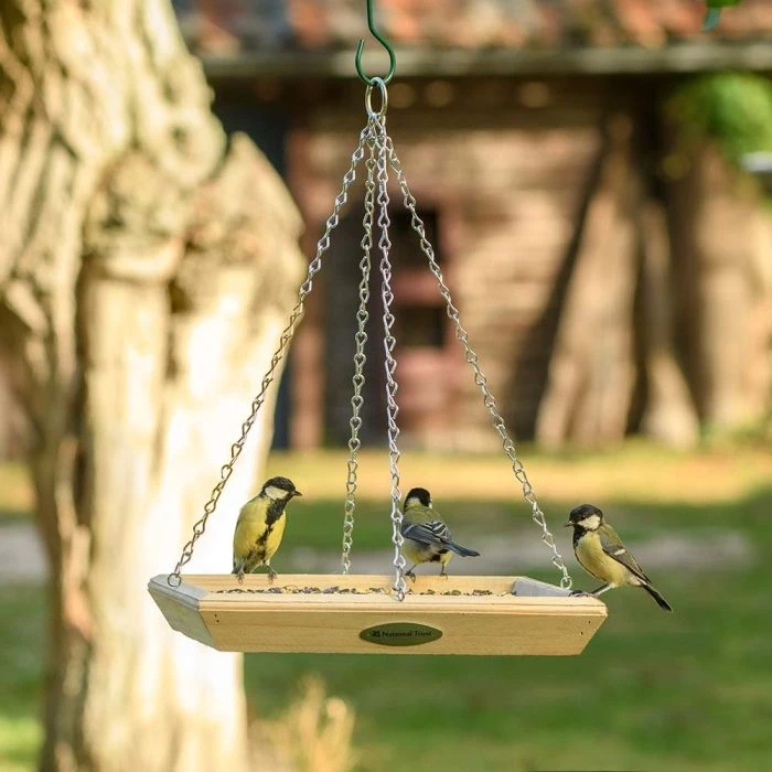 National Trust Hanging Bird Feeding Table National Trust Hanging Bird Feeding Table -Bird Supply Store 930130121 3