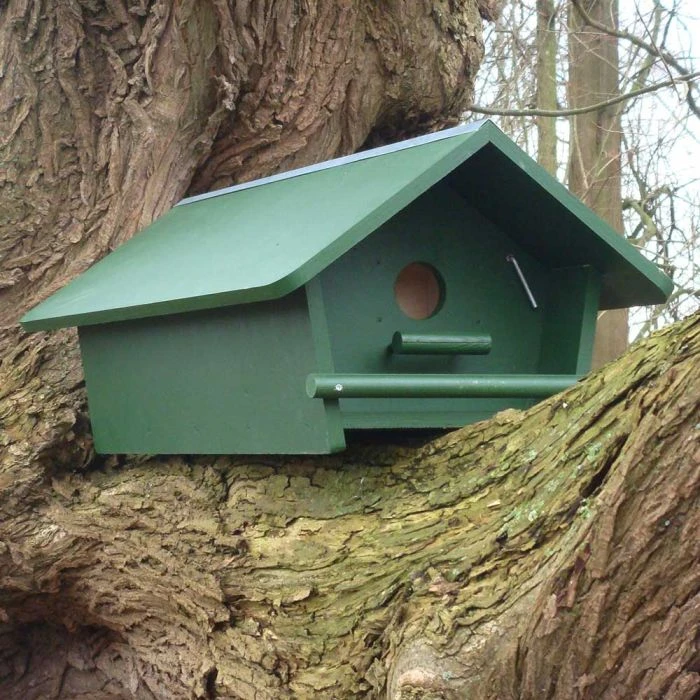 Little Owl Apex Nest Box Little Owl Apex Nest Box -Bird Supply Store 93049 1