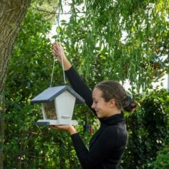 Bird Supply Store -Bird Supply Store 930500121 5