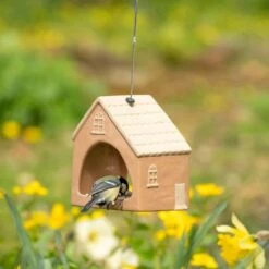 Bird Supply Store -Bird Supply Store 930760119 2056 1