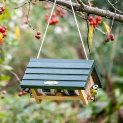 Lifford Hanging Double Peanut Butter Feeder