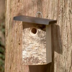 Bergen 32mm Nest Box 2 Bergen 32mm Nest Box -Bird Supply Store 93598 4