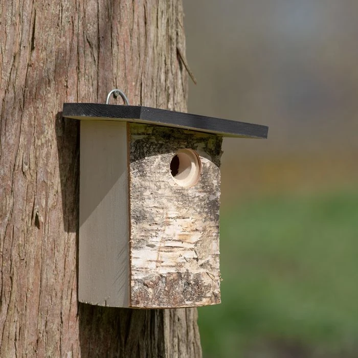 Bergen 32mm Nest Box Bergen 32mm Nest Box -Bird Supply Store 93598 5