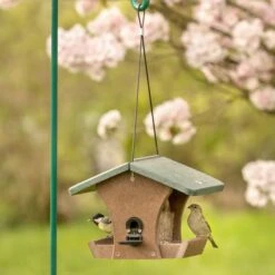 Bird Supply Store -Bird Supply Store 93601 1