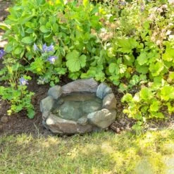 Bird Supply Store -Bird Supply Store 93832 maggiore ah 5438