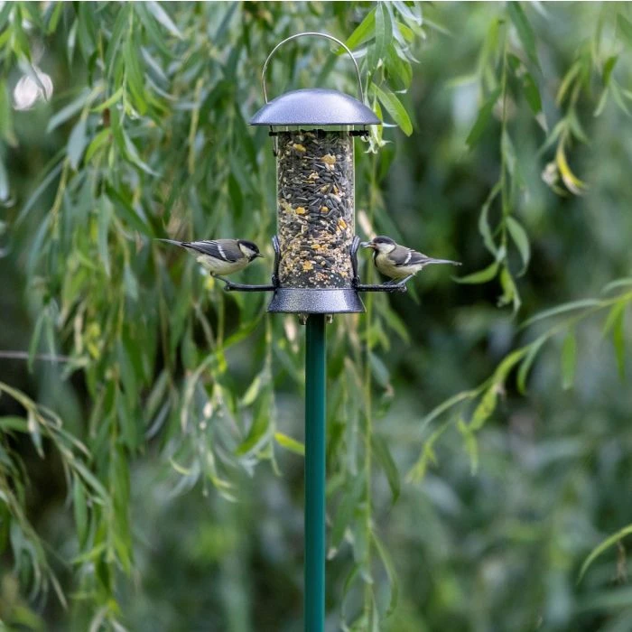 CJ's Garden Pole CJ's Garden Pole -Bird Supply Store 940010619 combi paal groen jvg 9176